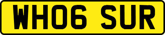 WH06SUR