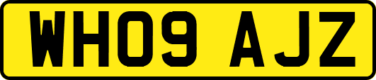 WH09AJZ