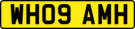 WH09AMH