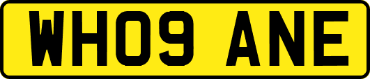 WH09ANE