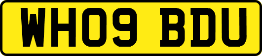 WH09BDU