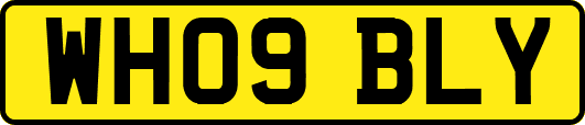 WH09BLY