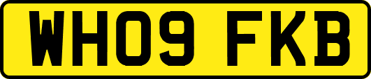 WH09FKB