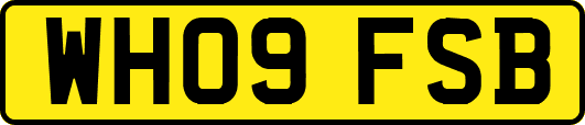 WH09FSB