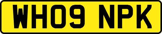 WH09NPK