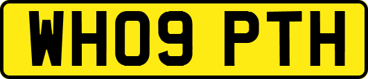 WH09PTH
