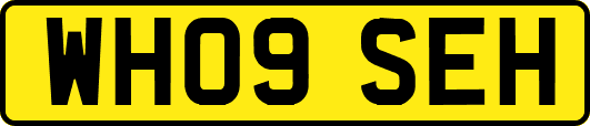 WH09SEH