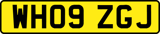 WH09ZGJ
