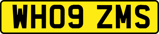 WH09ZMS