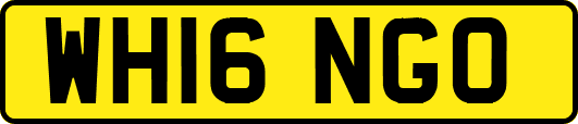 WH16NGO