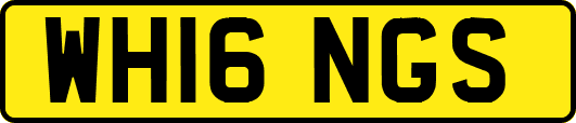 WH16NGS
