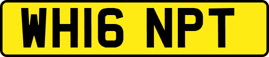 WH16NPT