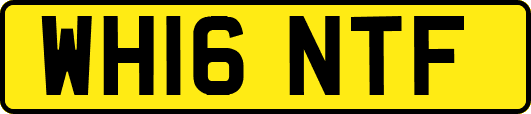 WH16NTF