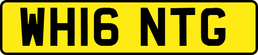 WH16NTG