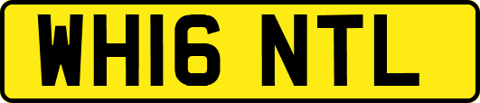 WH16NTL