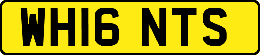 WH16NTS