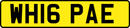 WH16PAE