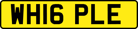 WH16PLE