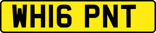 WH16PNT