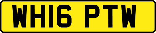 WH16PTW