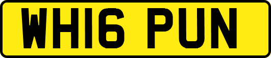 WH16PUN