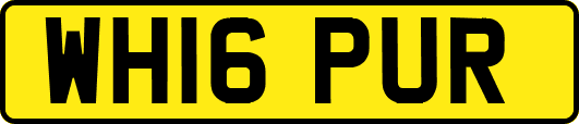 WH16PUR