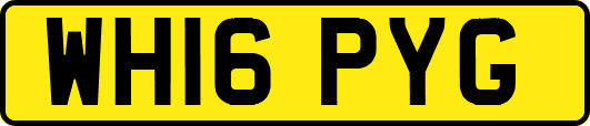 WH16PYG