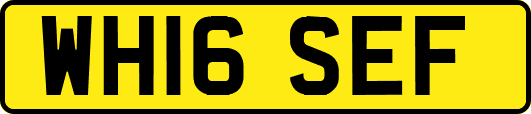 WH16SEF