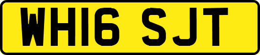 WH16SJT