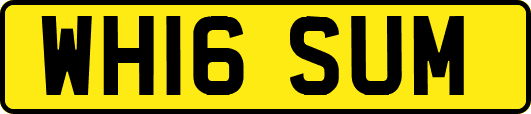WH16SUM