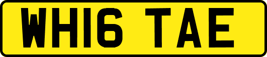 WH16TAE
