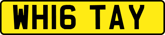 WH16TAY