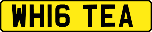 WH16TEA