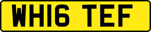 WH16TEF