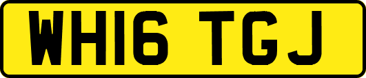 WH16TGJ