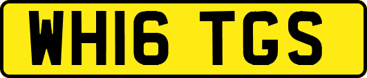 WH16TGS