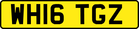 WH16TGZ