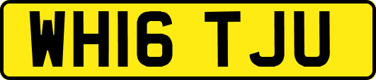 WH16TJU