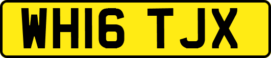 WH16TJX