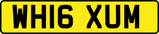 WH16XUM