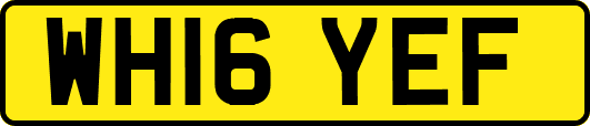 WH16YEF