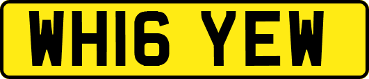 WH16YEW