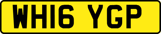 WH16YGP