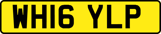 WH16YLP