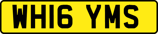 WH16YMS