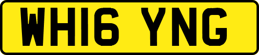 WH16YNG