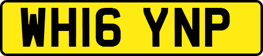 WH16YNP