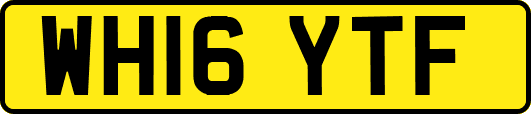 WH16YTF