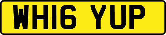 WH16YUP