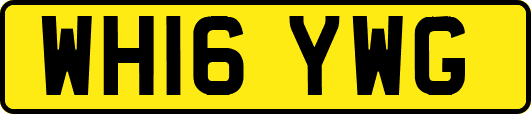 WH16YWG